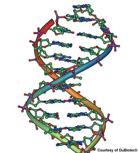 Dubai Biotechnology and Research Park (DuBiotech), Dubai, UAE