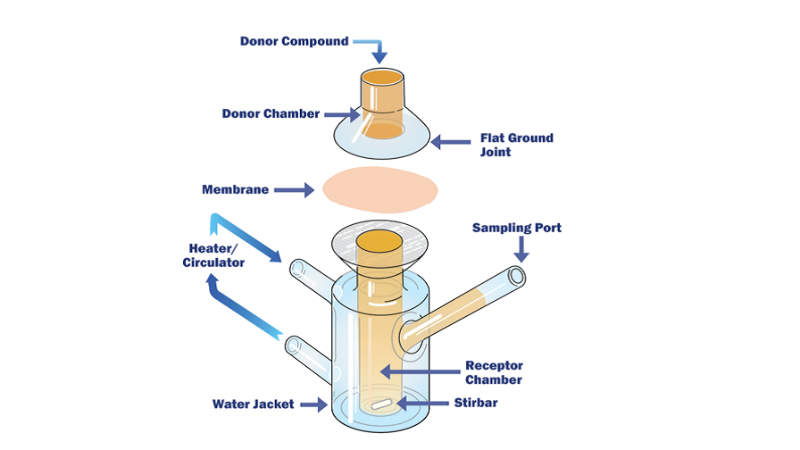 In-Vitro Permeation Studies - Pharmaceutical Technology