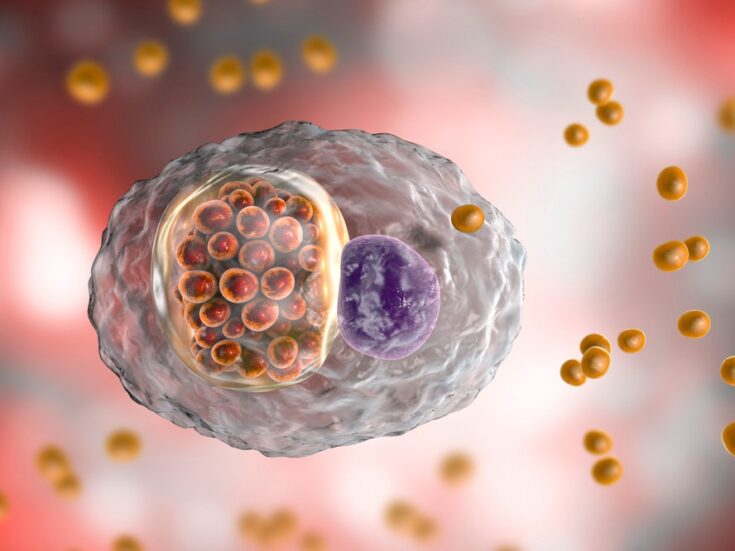 Progress made in developing first Chlamydia vaccine - Pharmaceutical ...