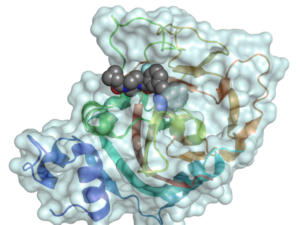 AstraZeneca and Merck announce full results for PARP inhibitor Lynparza ...