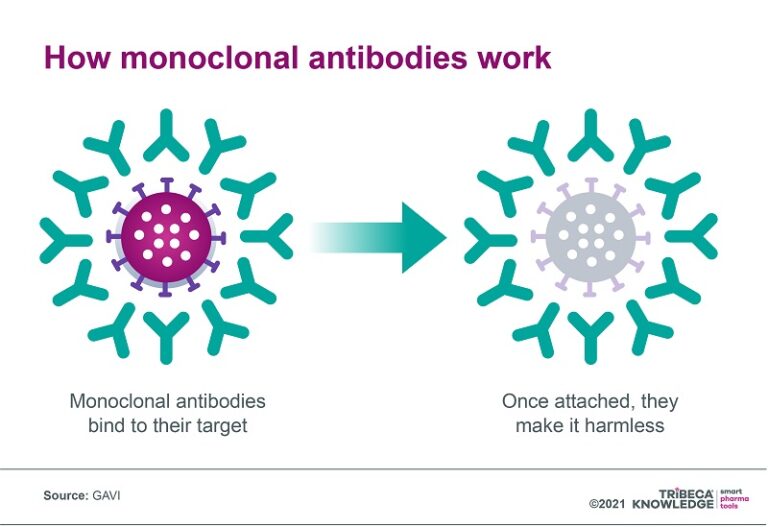 Eight pharma trends for 2022: towards a more holistic understanding of ...