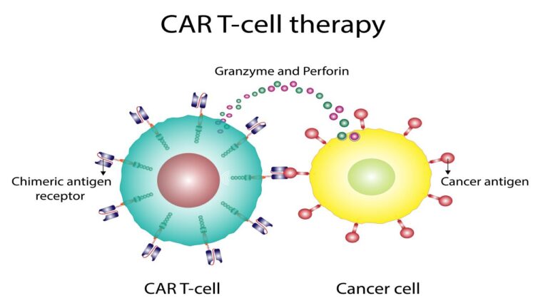 Innovation in immuno-oncology: Leading companies in cancer chimeric ...