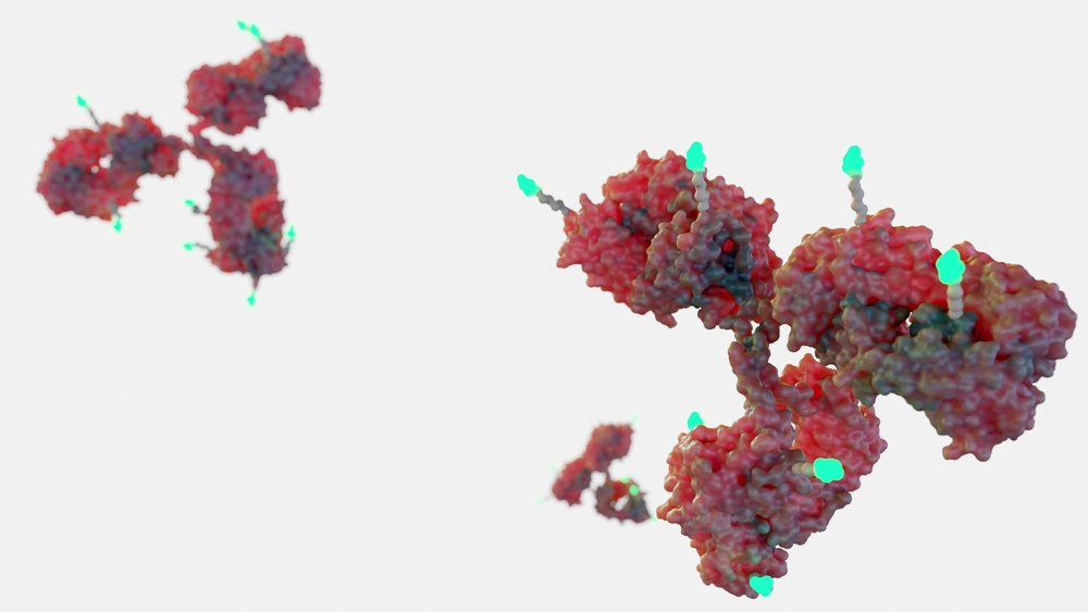 ASCO 2024: MediLink’s NSCLC and breast cancer ADC shows early safety success