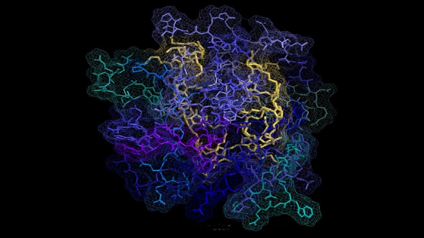 Northwestern and Case Western Reserve universities develop Huntington’s therapy