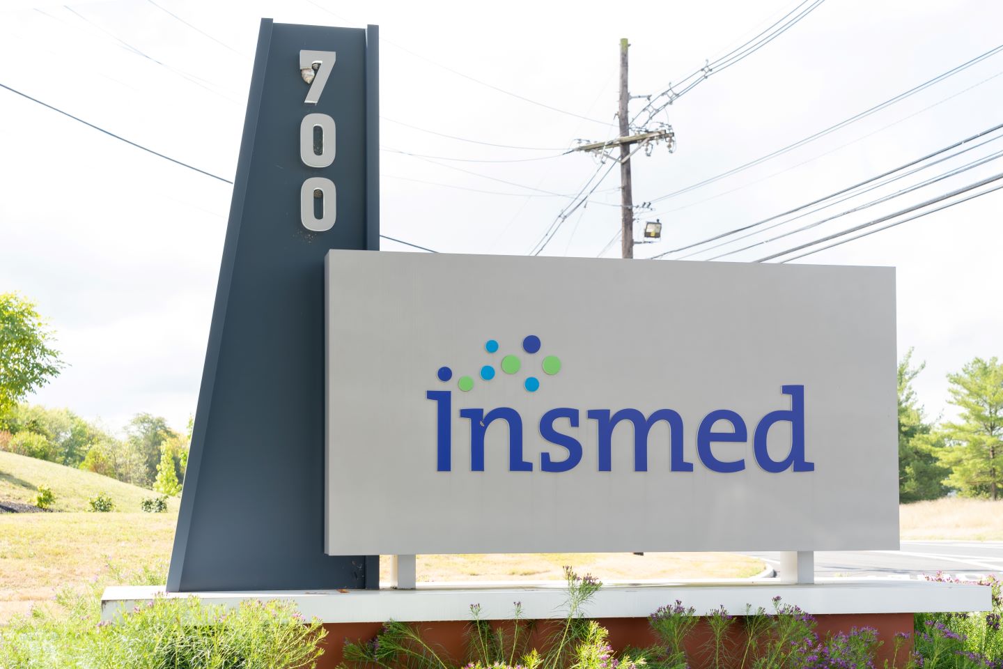 Insmed’s gene therapy poised to challenge DMD landscape after IND clearance