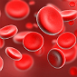 Red blood cells
